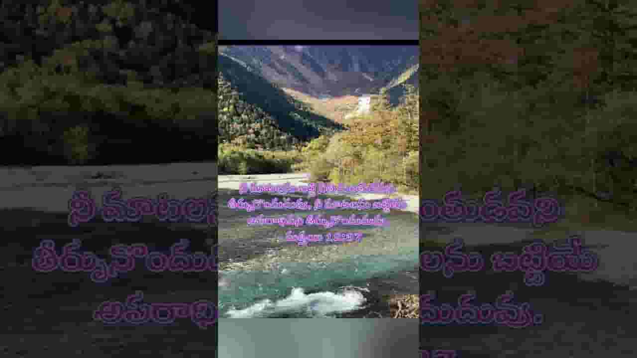Channel Banner