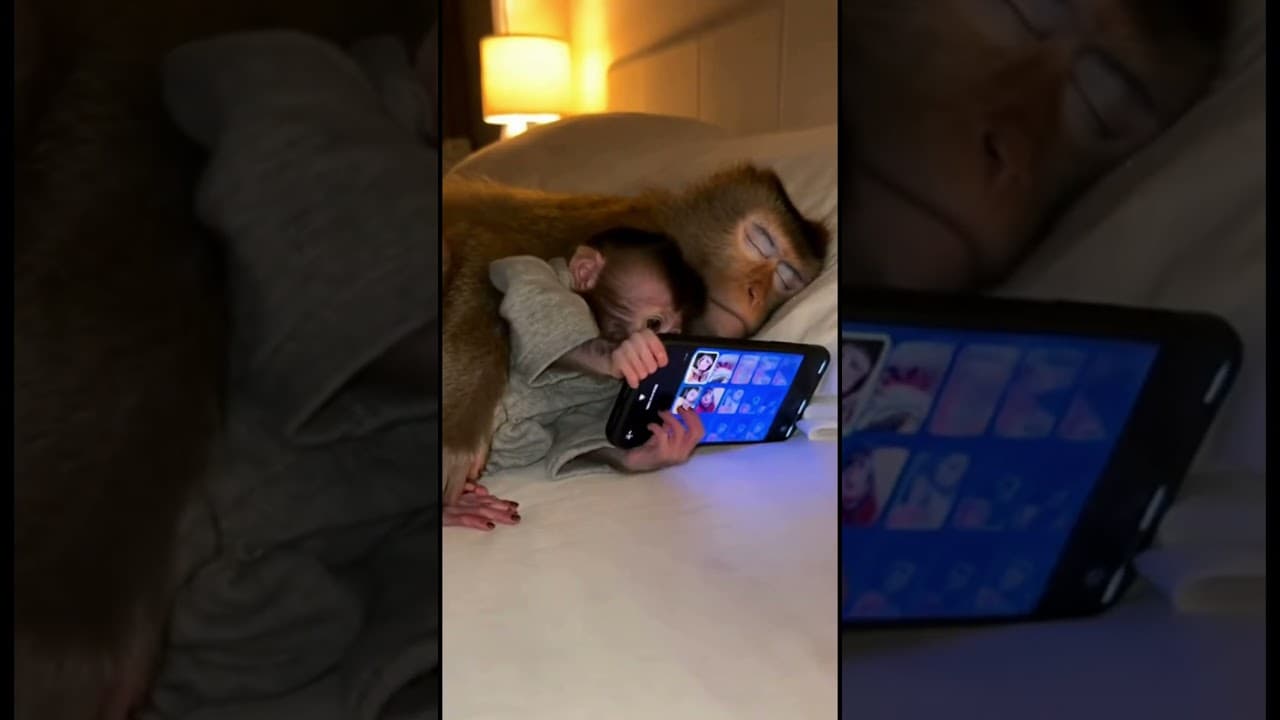 Mom had enough ๐
#mom #funny #fyp #scrolling