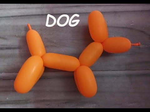 Balloon Art - Dog thumbnail