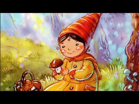Socionics - EII (INFj) compared to IEI (INFp) how to tell the difference. thumbnail