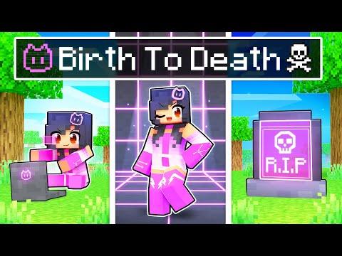 BIRTH to DEATH of a HACKER In Minecraft! thumbnail