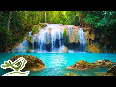 Beautiful Piano Radio 🎹 Relaxing Music for Sleep, Studying & Relaxation 24/7 thumbnail