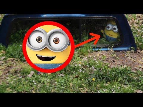 I FOUND BOB THE MINION IN REAL LIFE!! **CAN WE CAPTURE HIM?** thumbnail