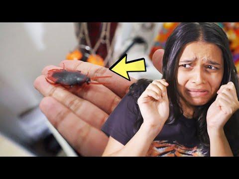 HE THREW A COCKROACH ON ME!!! (prank) thumbnail