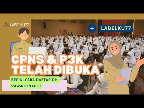 Dibuka Pendaftaran CPNS dan PPPK Tahun 2023 di ASN Karier, ini Caranya thumbnail