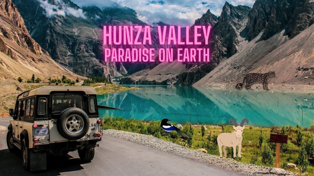 Channel Banner