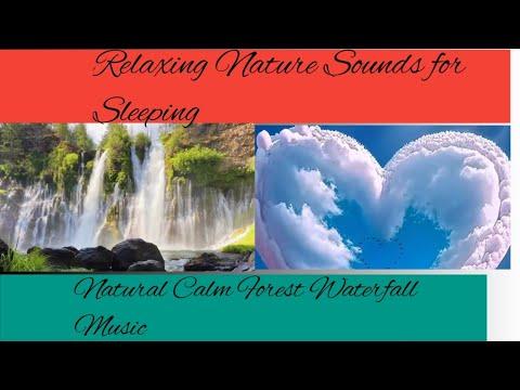 Relaxing Nature Sounds for Sleeping - Natural Calm Forest Waterfall Music Meditation Sound for Study thumbnail