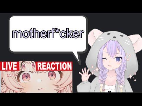JP Chinchilla Vtuber learns YABAI word from her oshi PIPKIN PIPPA thumbnail