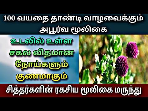 அற்புத மருத்துவ குணங்கள் நிறைந்த விஷ்ணு கரந்தை - Vishnukranthi medical benefits in Tamil thumbnail
