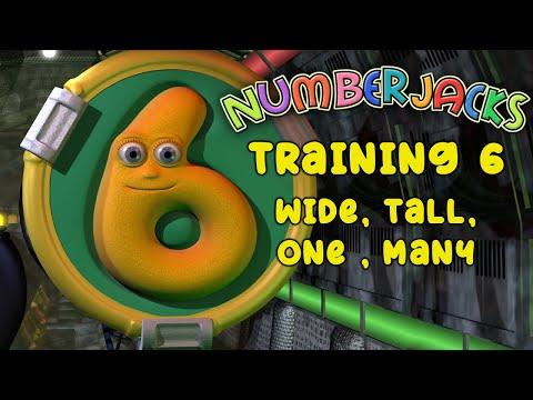 Agent Training 6 | Wide, tall, one , many | Fall sorted | Numberjacks thumbnail