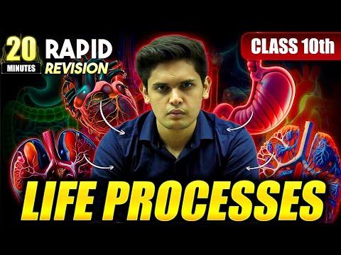 Life Processes in 20 Minutes🔥| Class 10th | Rapid Revision | Prashant Kirad thumbnail