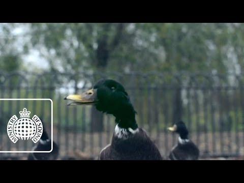 Bingo Players ft. Far East Movement - Get Up (Rattle) (Official Video) | Ministry of Sound thumbnail