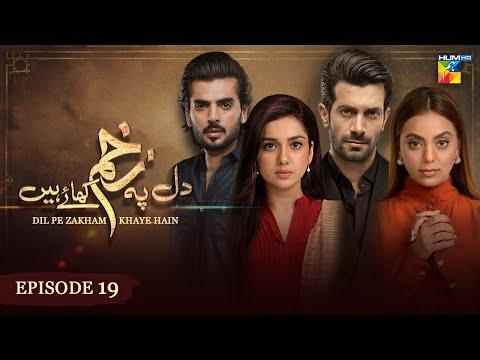 Dil Pe Zakham Khaye Hain - Episode 19 - [ Tuba Anwar & Shahzad Noor ] - 23rd July 2023 - HUM TV thumbnail