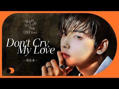 차은우 'Don't Cry My love' 리릭비디오 - 상수리나무 아래 OST (full ver) thumbnail