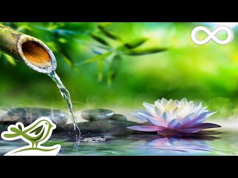 Soothing Relaxation: Relaxing Piano Music & Water Sounds for Sleep, Meditation, Spa & Yoga thumbnail