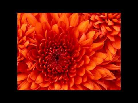 10cc Feel The Love (Oomachasaooma) thumbnail