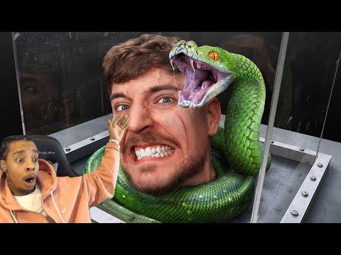 FlightReacts To MrBeast Face Your Biggest Fear To Win $800,000! thumbnail