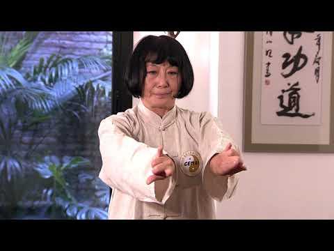 TAI CHI ONLINE | CLASE 1 | Movimiento en casa con Kazuko Onkai thumbnail