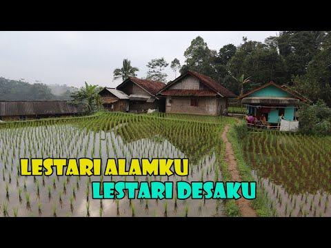 Lestari Alamku..Lestari Desaku..Hawa Sejuk Kampung Nyalindung Cigalontang. Air Mengalir Sampai Jauh thumbnail