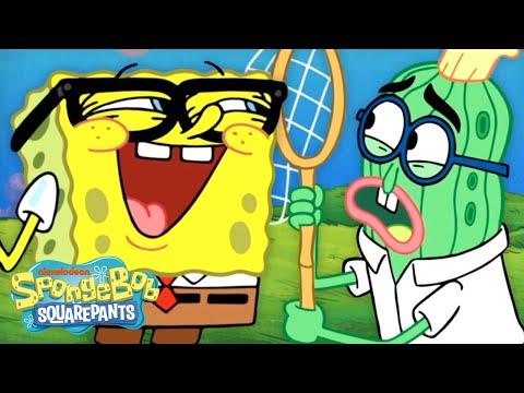 SpongeBob REUNITES With Kevin! | "Hi Kevin" 👋 | @SpongeBobOfficial thumbnail
