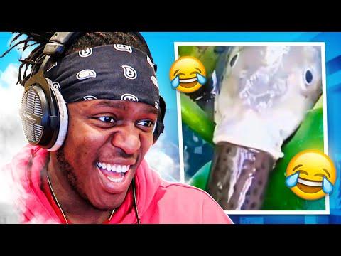 Try Not To Laugh (Inappropriate Edition) thumbnail