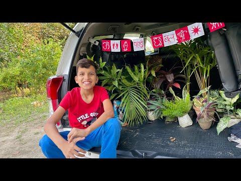 Car Mein Plants 😅 for New Home thumbnail