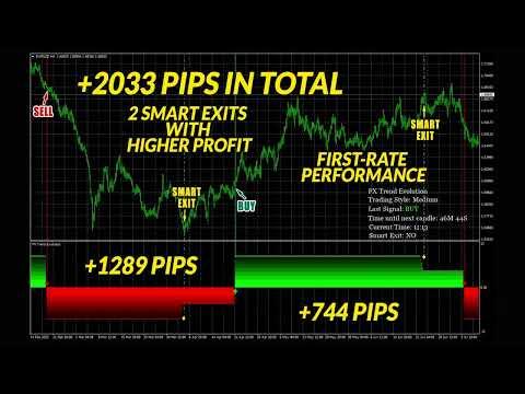 FX Trend Evolution Reviews | FX Trend Evolution Indicator by Karl Dittmann | FX Trend Evolution thumbnail