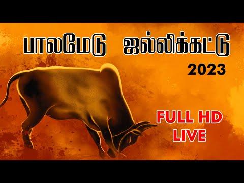 பாலமேடு ஜல்லிக்கட்டு 2023 | Palamedu Jallikattu LIVE 2023 | Suryan FM thumbnail