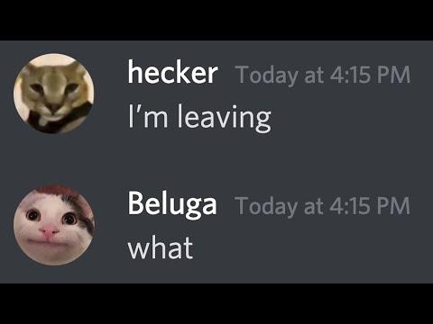 hecker leaves beluga... thumbnail