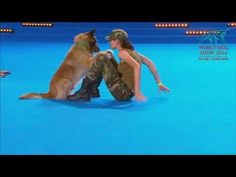 FCI Dog dance World Championship 2016 – Freestyle final  - Lusy Imbergerova and Deril (Italy) thumbnail
