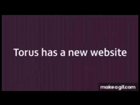 Torus has a New website thumbnail