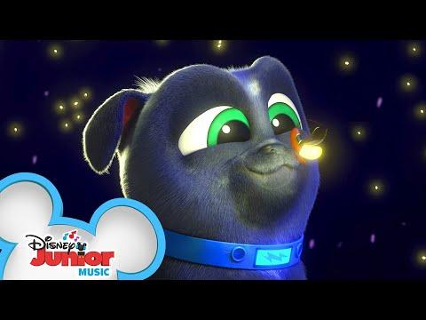 Firefly Song | Music Video | Puppy Dog Pals | Disney Junior thumbnail