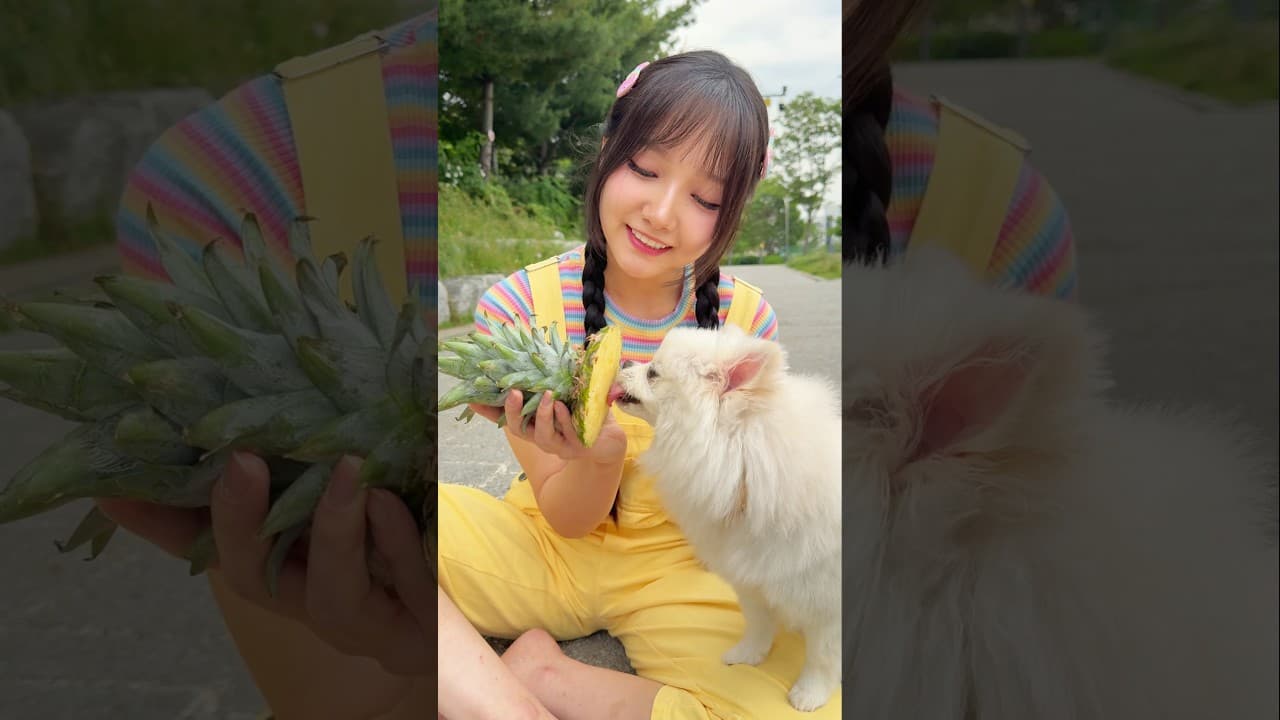 kkubi took his puppy to grow pineapples