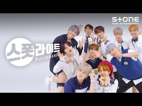 [스폿라이트] TOO (티오오) - 오늘은 이만큼 (Take It Slow)｜SPOTLIGHT, Stone PERFORMANCE thumbnail