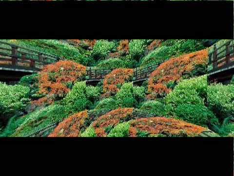 Zen Garden - Tangerine Dream - Datenverarbeiter Video thumbnail