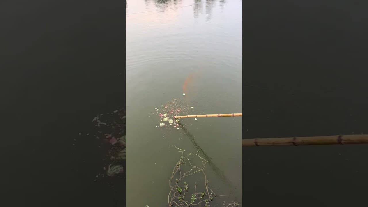 Fishing net | Using watermelon as bait to catch fish. | Outdoor fishing #fishing #shortsviral