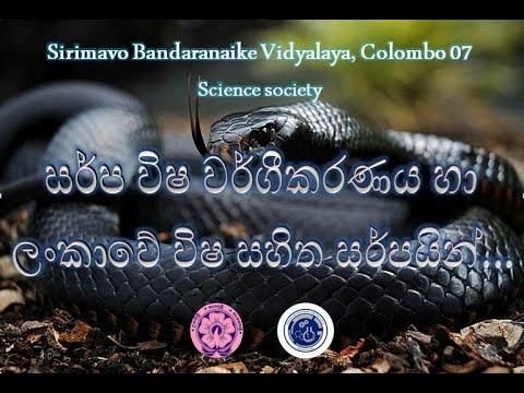 සර්ප විෂ වර්ගීකරණය හා ලංකාවේ විෂ සහිත සර්පයින් | Sirimavo Bandaranaike Vidyalaya, Colombo 07 thumbnail