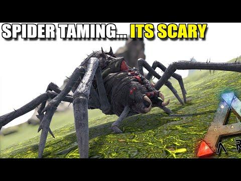 TAMING A SPIDER... ITS SCARY ! | ARK SURVIVAL EVOLVED EP21 thumbnail