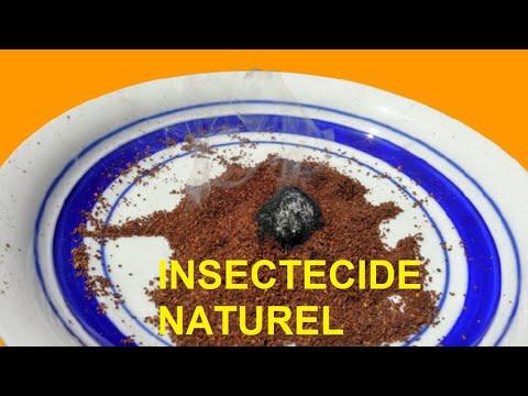 Il a fait brûler du marc à café dans son jardin regardez ce qu’il a fait thumbnail