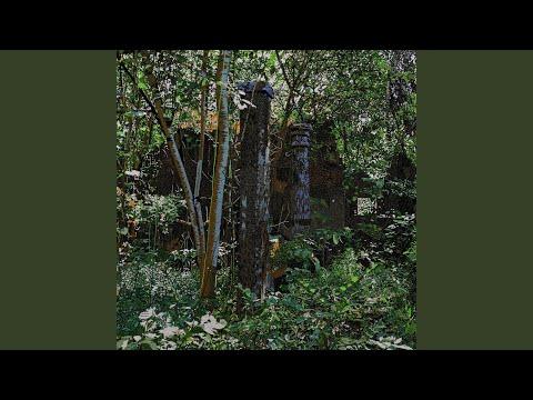 Vilnia (feat. Bert Cools, Indrė Jurgelevičiūtė, Jean-Christophe Bonnafous & Jauna Muzika Choir) thumbnail
