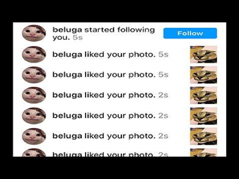 When someone doesn't follow you back... thumbnail