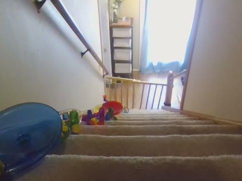INSANE Marble Run Down The Stairs! thumbnail