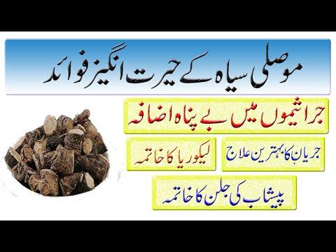 Siyah Mosli kay Fayde - Benefits of Black musli in urdu - thumbnail