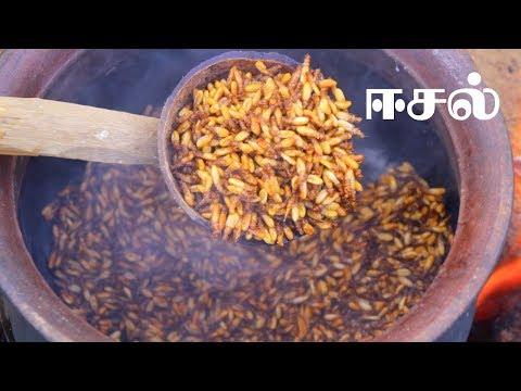 Eesal | Cooking Eating Winged TERMITES | Healthy village food | Village Cooking Channel thumbnail