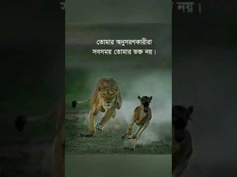 Delwar Hussain saidi waz দেলওয়ার হোসাইন সাঈদী ওয়াজ Delwar Hussain Saidi Waz thumbnail