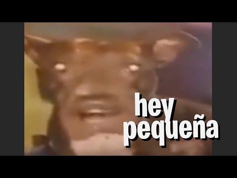 hey hey hey pequeña no digas eso thumbnail
