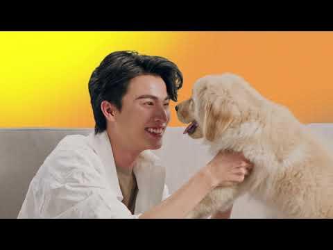Puppy Time with Gulf thumbnail