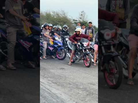 PART 2❗VIRAL TIGER JAGOAN VS GTR ROYCO ❗ thumbnail