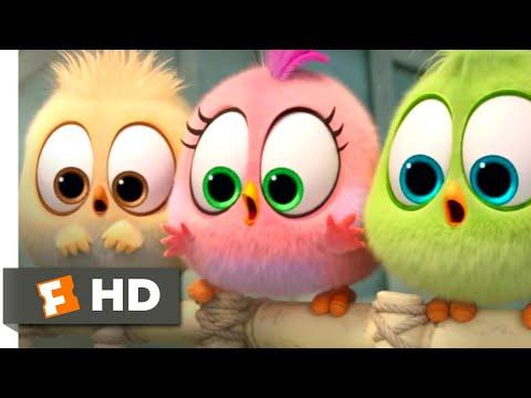 The Angry Birds Movie 2 - Wittle Sisters | Fandango Family thumbnail