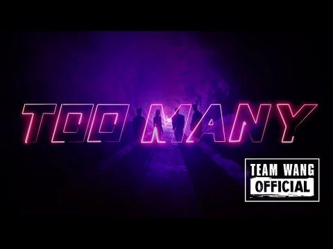 PANTHEPACK - Too Many (Official Visualizer) thumbnail